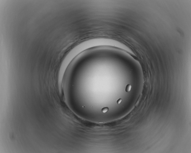 X0000113200556200909171516