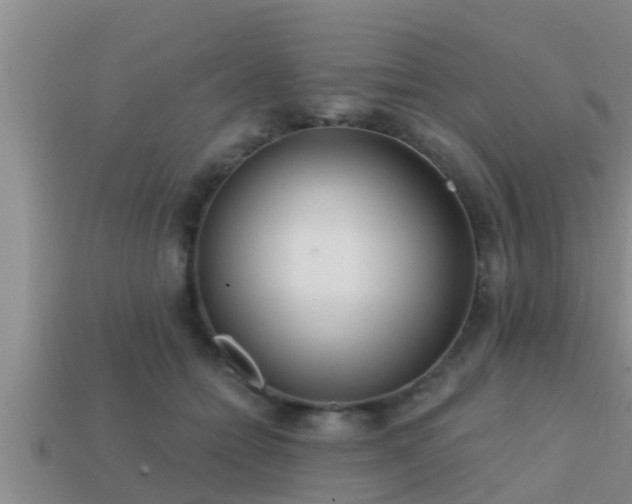 X0000113200558200909171516