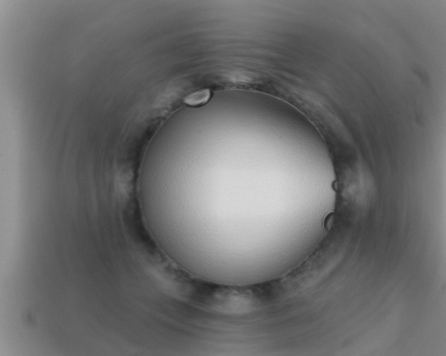 X0000113200559200909171516