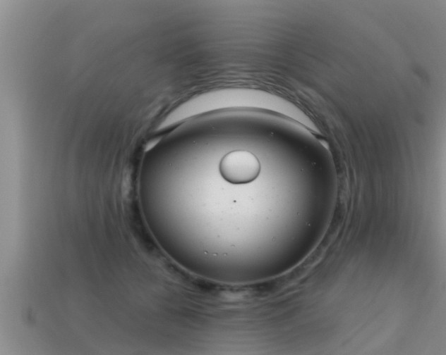 X0000113200560200909171516