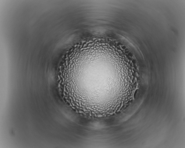 X0000113200561200909171516