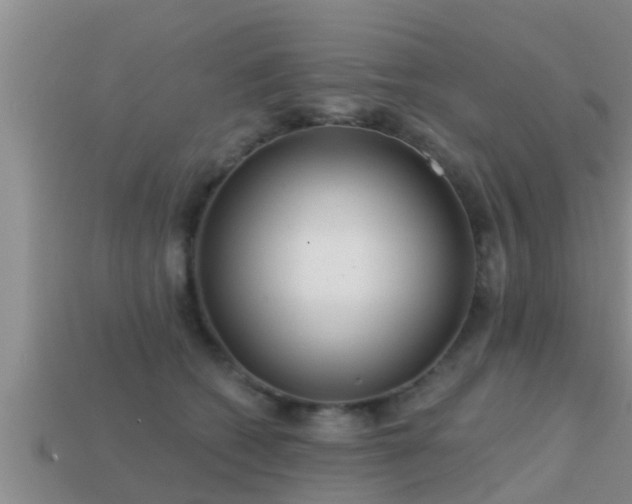 X0000113200562200909171516