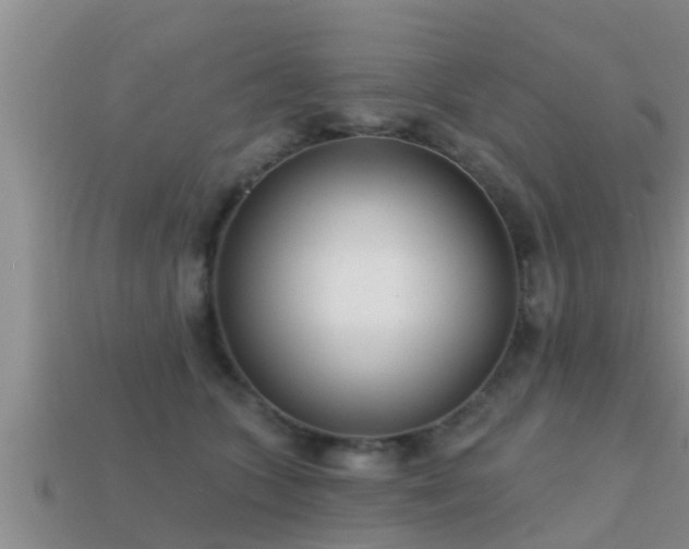 X0000113200563200909171516