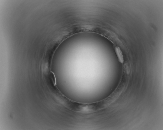 X0000113200564200909171516