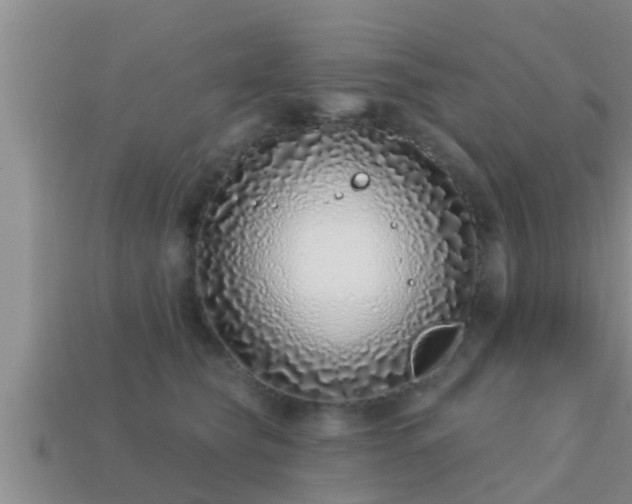 X0000113200565200909171516