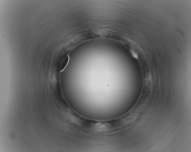 X0000113200566200909171516