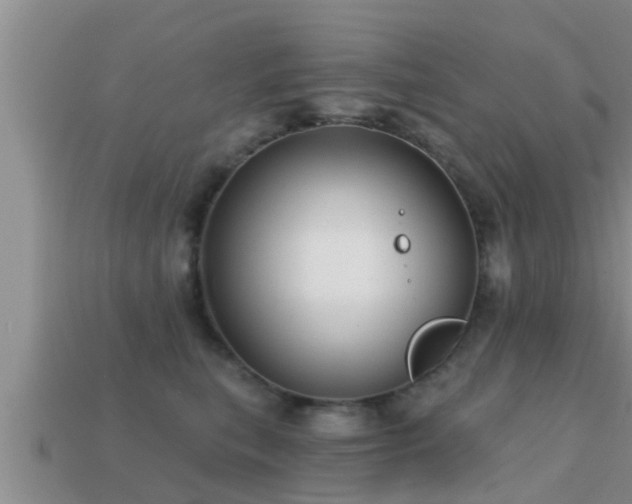 X0000113200567200909171516