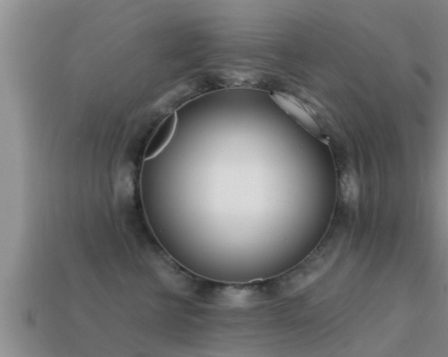 X0000113200570200909171516