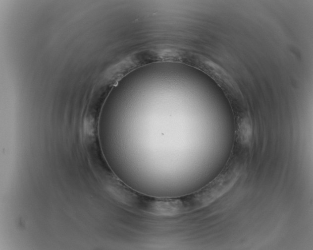 X0000113200571200909171516