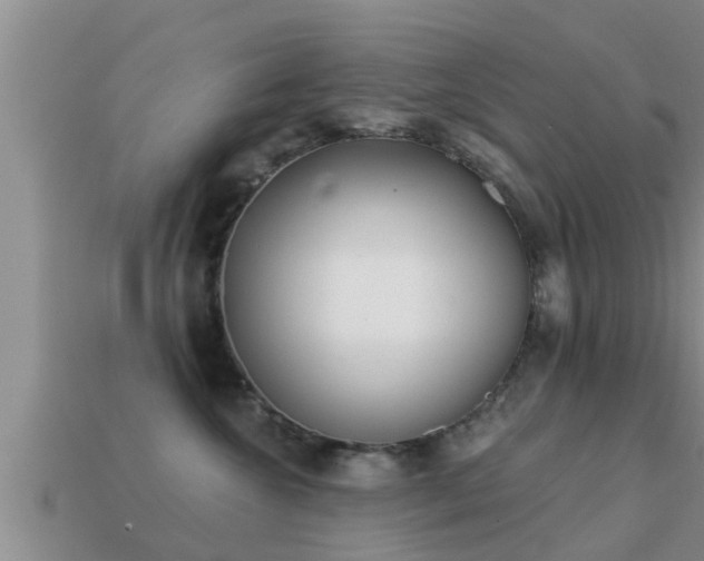 X0000113200572200909171516