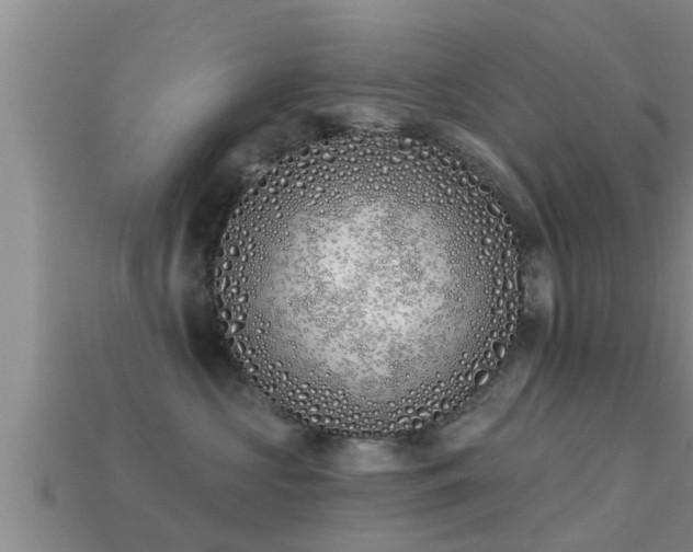 X0000113200573200909171516