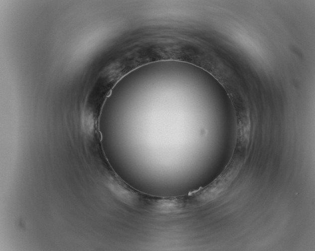 X0000113200574200909171516