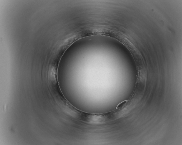 X0000113200575200909171516