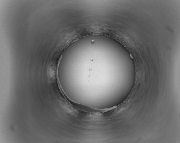 X0000113200576200909171516