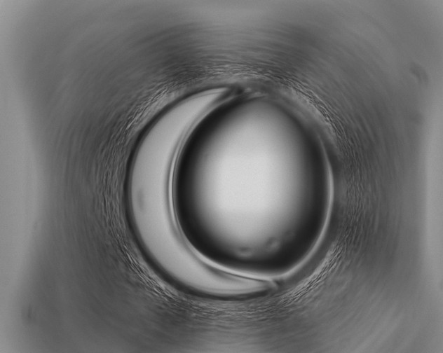 X0000113200577200909171515