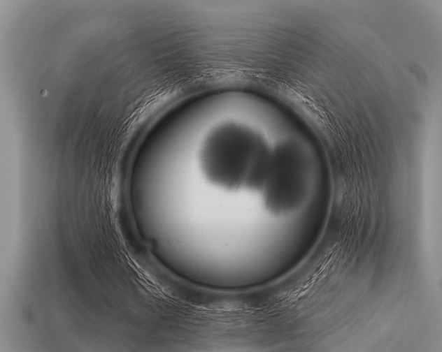 X0000113200578200909171515