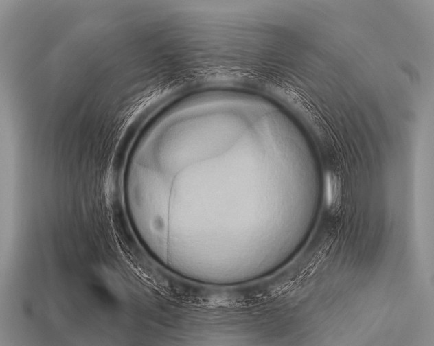 X0000113200579200909171515