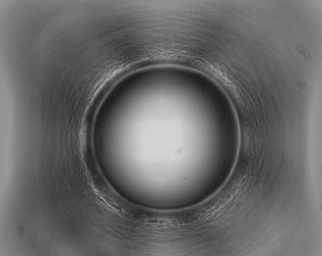 X0000113200580200909171515