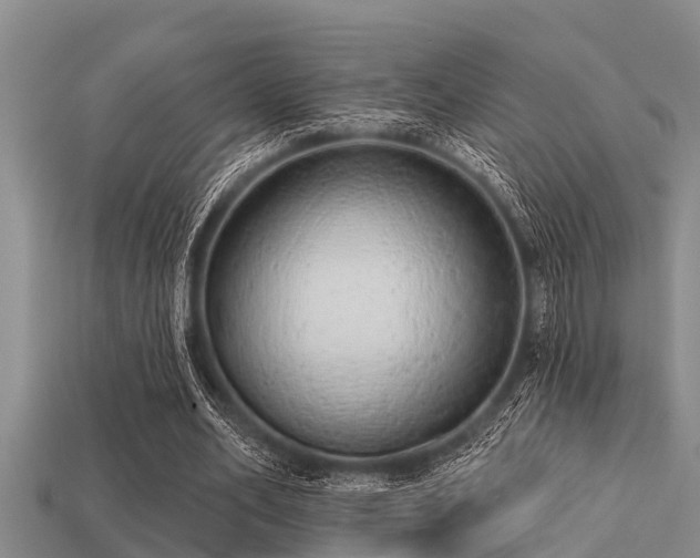 X0000113200582200909171515