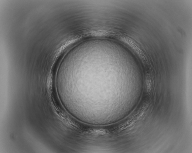 X0000113200583200909171515