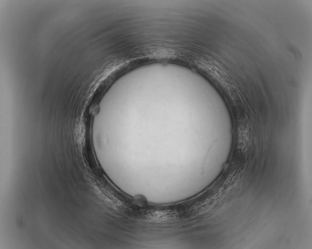 X0000113200584200909171515