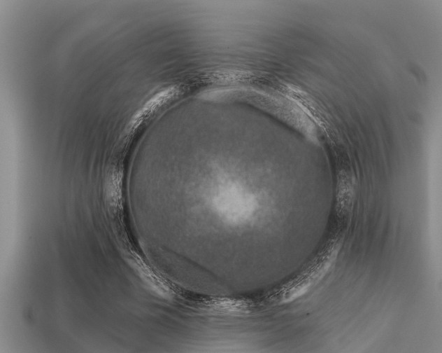 X0000113200585200909171515