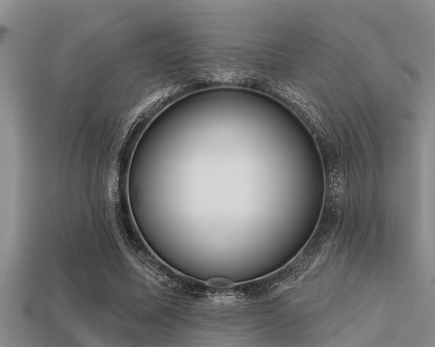 X0000113200587200909171515