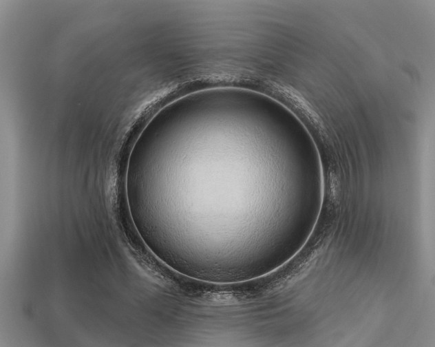 X0000113200588200909171515