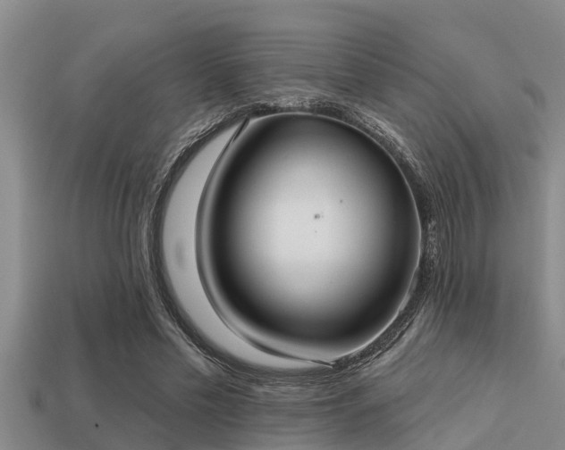 X0000113200589200909171515