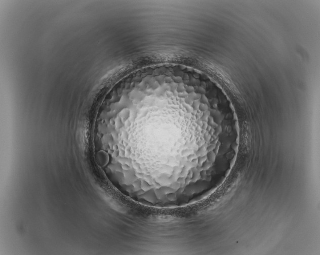 X0000113200590200909171515