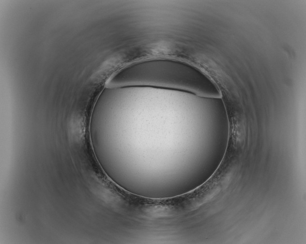 X0000113200593200909171515