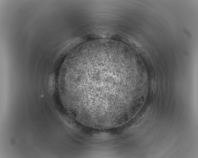 X0000113200594200909171515