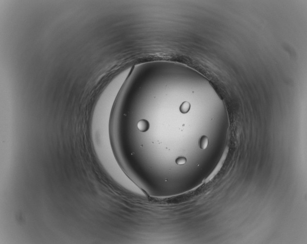 X0000113200595200909171515