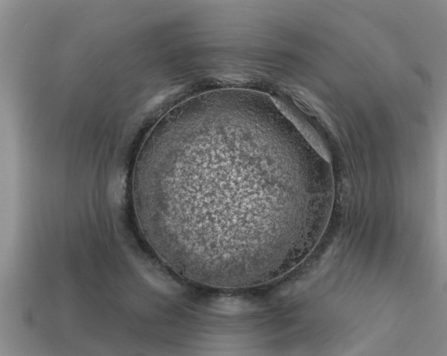 X0000113200596200909171515