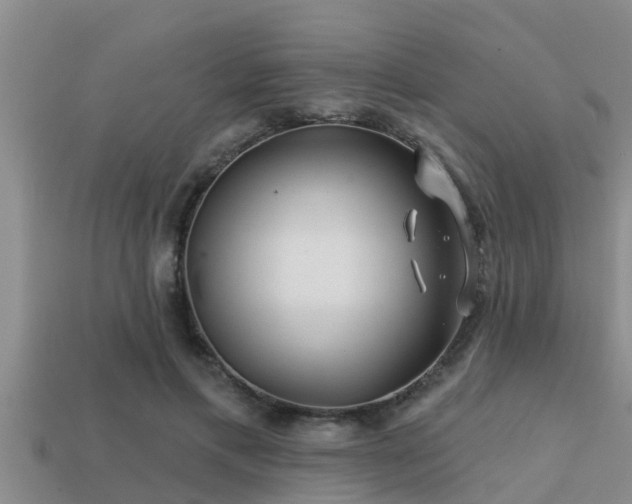 X0000113200597200909171515