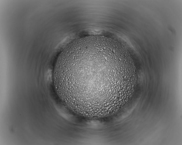 X0000113200598200909171515