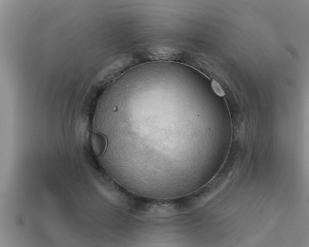 X0000113200599200909171515