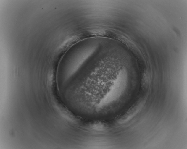 X0000113200600200909171515