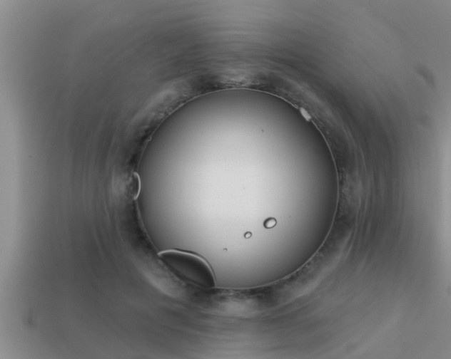 X0000113200601200909171515