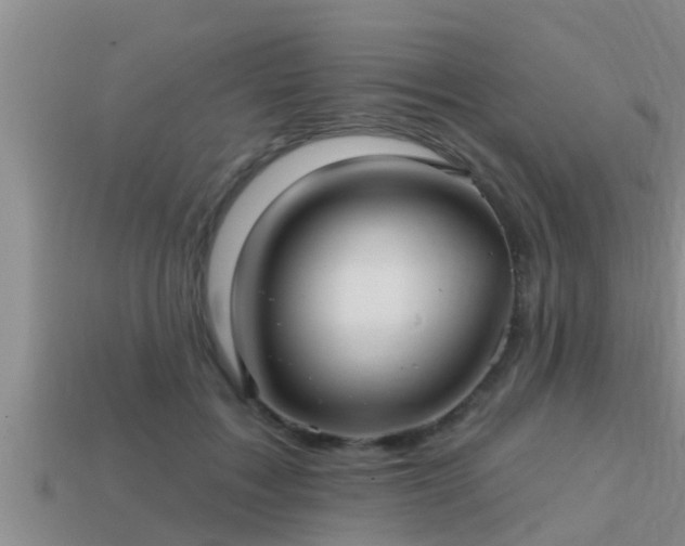 X0000113200603200909171515