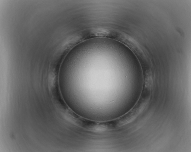 X0000113200604200909171515