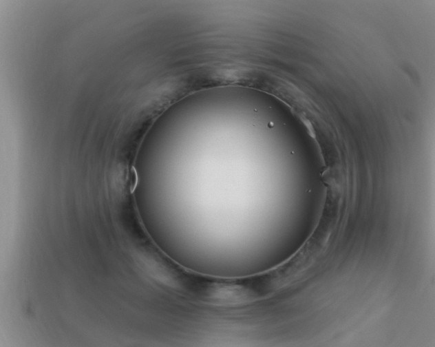 X0000113200605200909171515