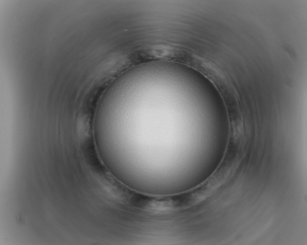 X0000113200606200909171515