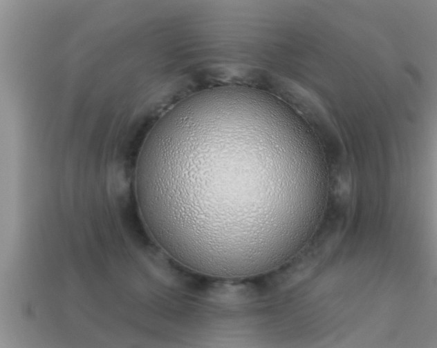 X0000113200607200909171515