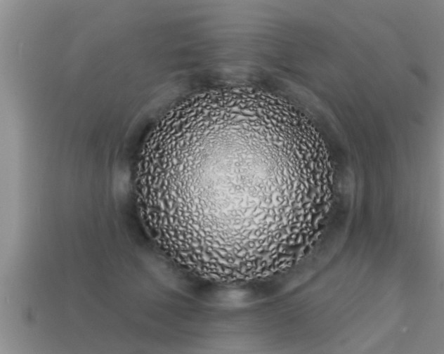 X0000113200610200909171515