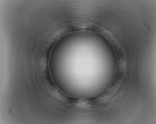 X0000113200612200909171515