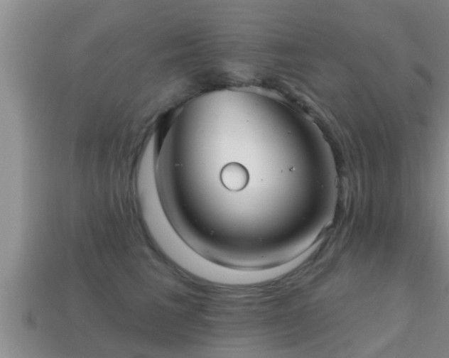 X0000113200613200909171515