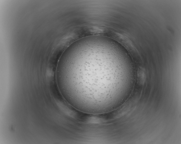 X0000113200614200909171515