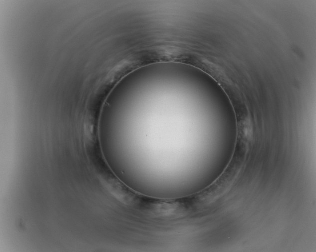 X0000113200615200909171515