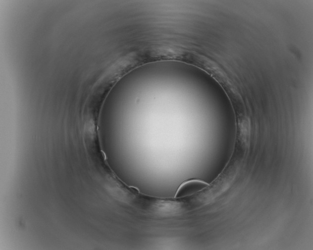 X0000113200617200909171515